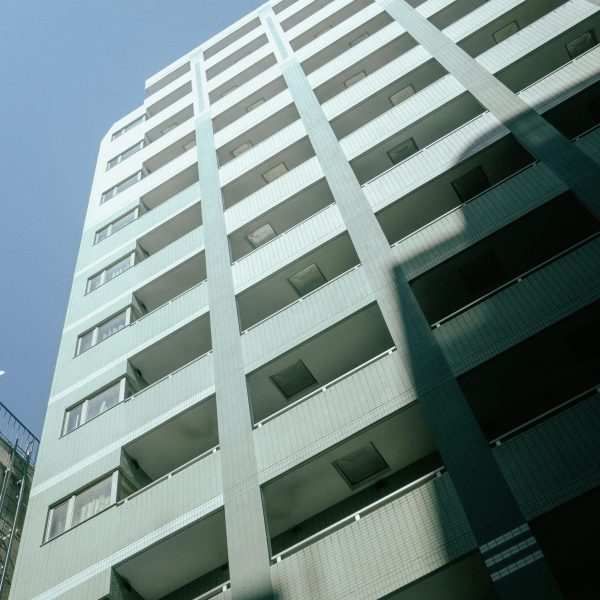 pexels-shakir1317-30736818